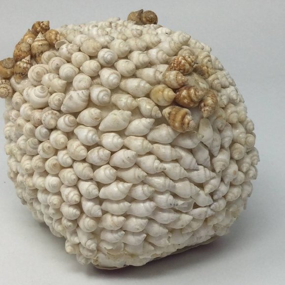 Sea Shell Art Decor Small Pig Vintage - Picture 5 of 12